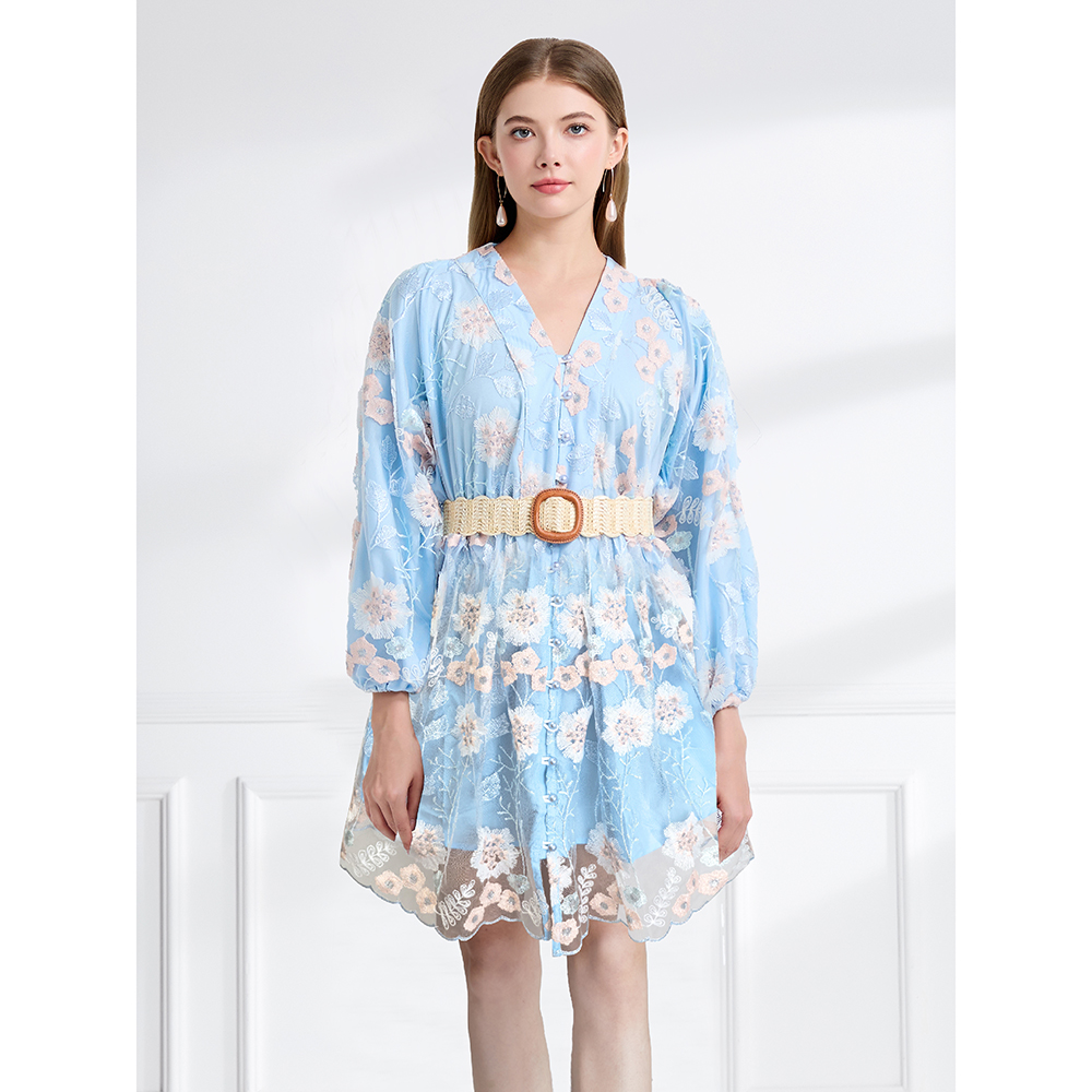 Embroidered lantern sleeve pinched waist dress