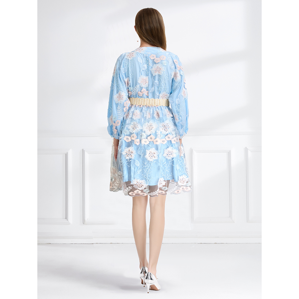 Embroidered lantern sleeve pinched waist dress