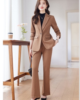 Temperament suit pants business suit 2pcs set for women