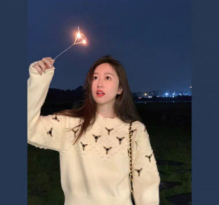 Embroidery crochet pullover France style sweater for women