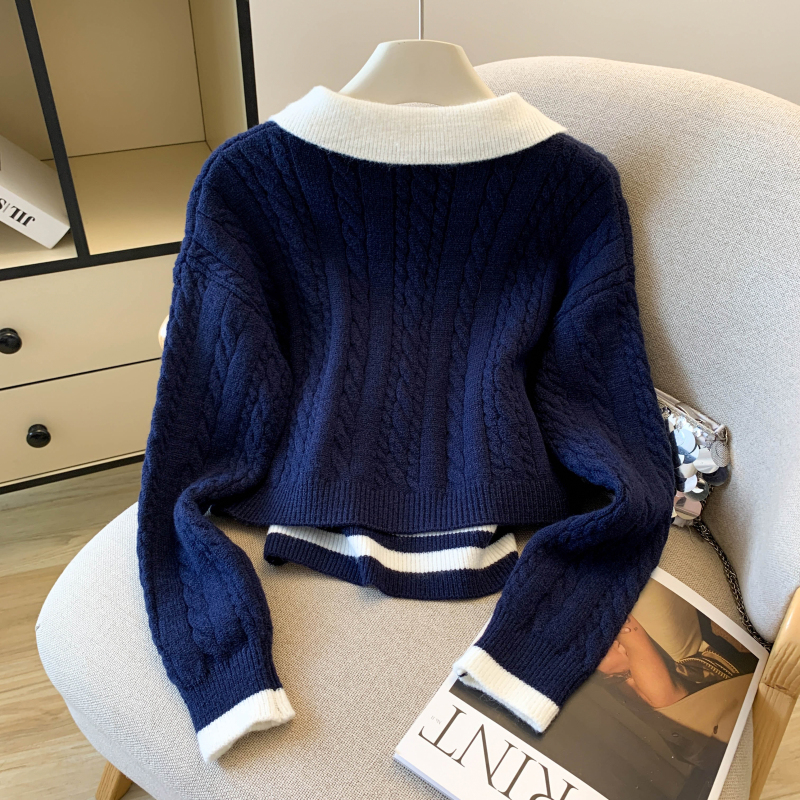 V-neck Korean style tops slim sweater 2pcs set