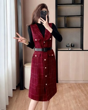 Temperament dress waistcoat 2pcs set for women