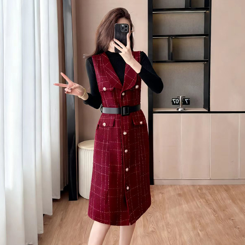 Temperament dress waistcoat 2pcs set for women