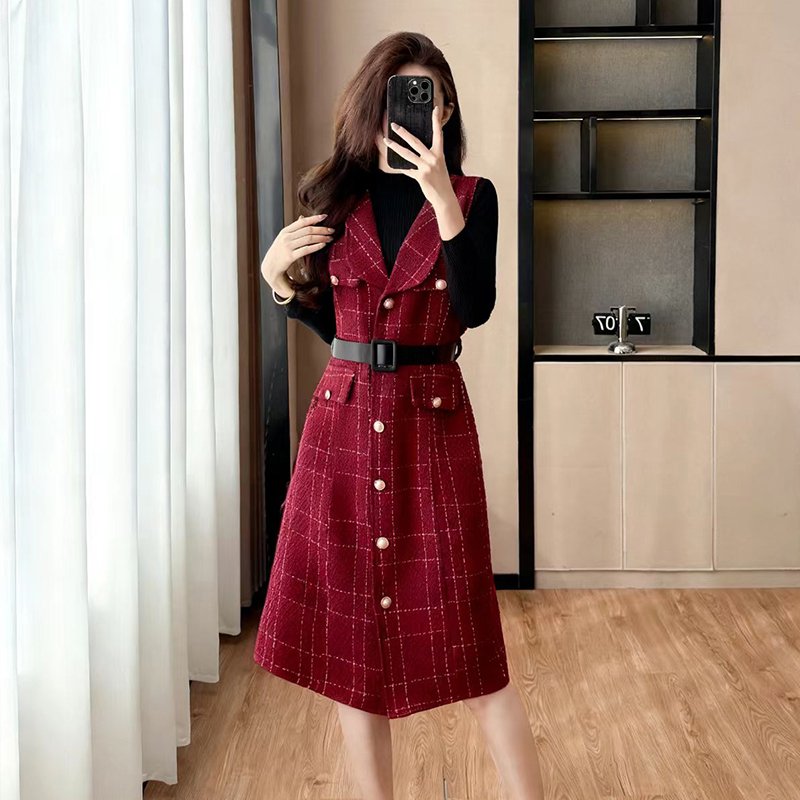 Temperament dress waistcoat 2pcs set for women