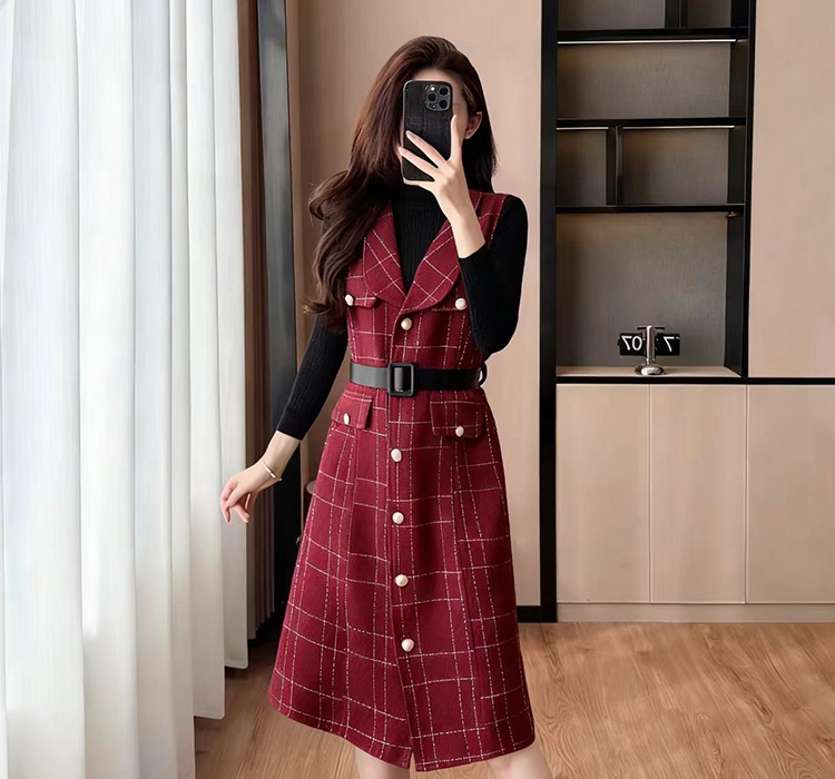 Temperament dress waistcoat 2pcs set for women