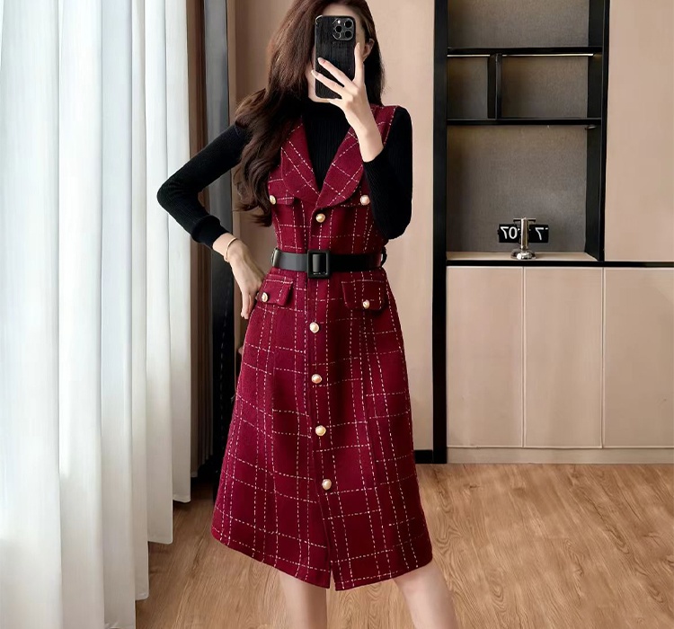 Temperament dress waistcoat 2pcs set for women