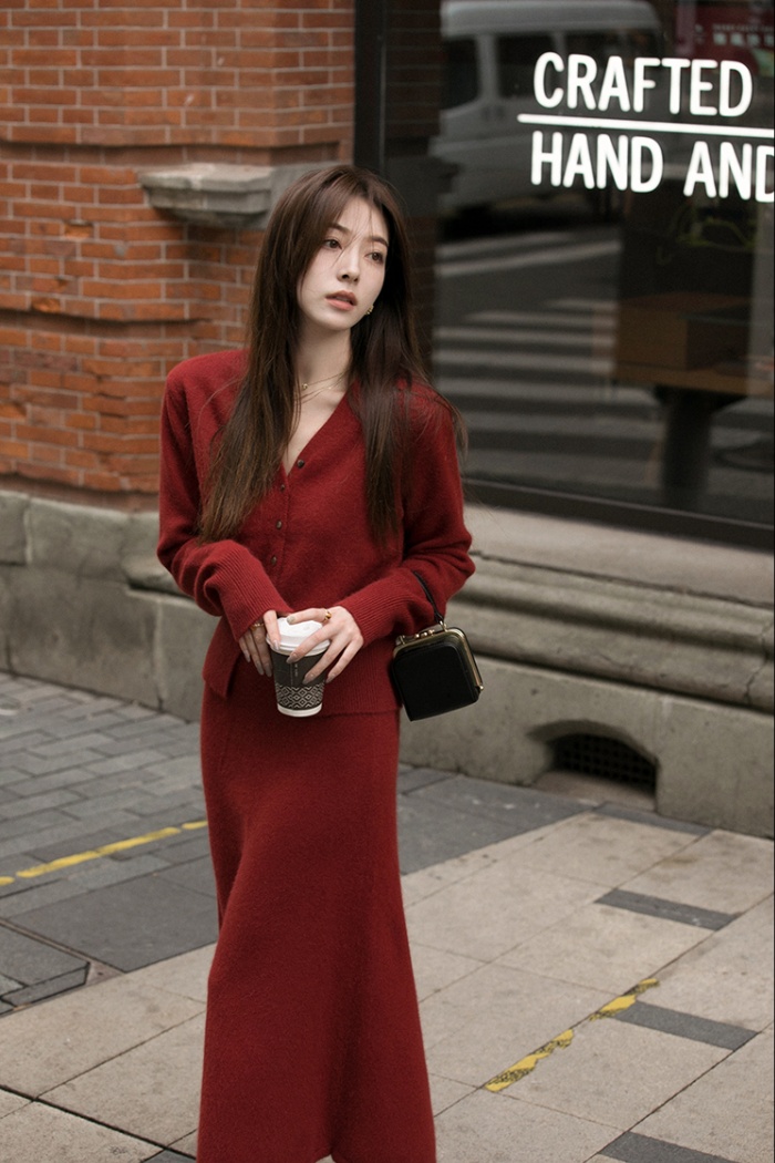 Spring and autumn cardigan sweater 2pcs set for women