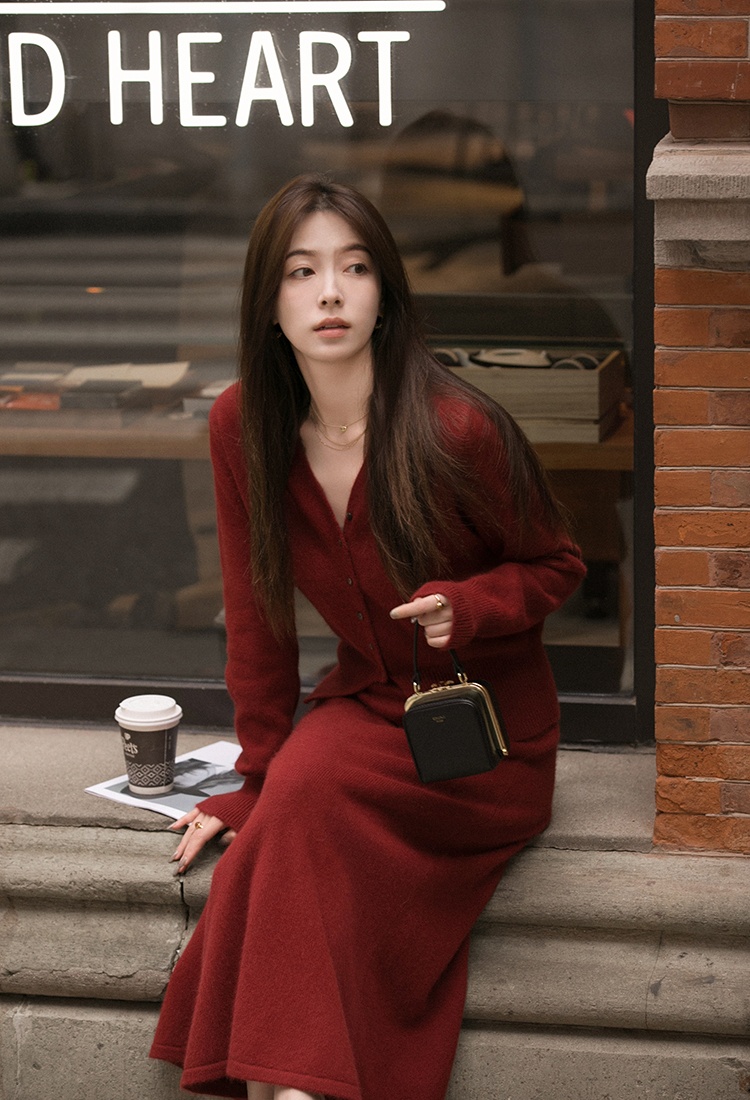 Spring and autumn cardigan sweater 2pcs set for women