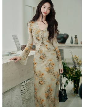 Sling outside the ride dress painting cardigan 2pcs set