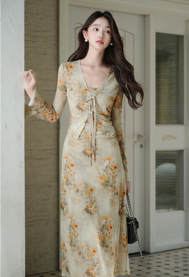 Sling outside the ride dress painting cardigan 2pcs set