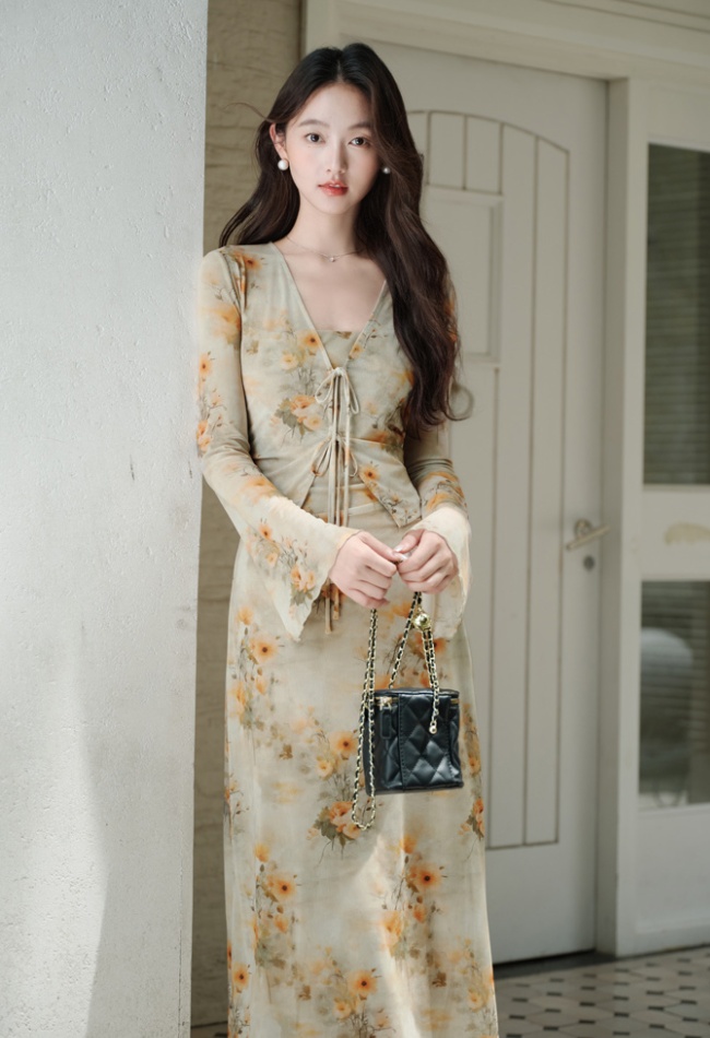 Sling outside the ride dress painting cardigan 2pcs set