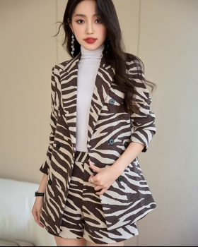 Slim coat all-match business suit 2pcs set for women