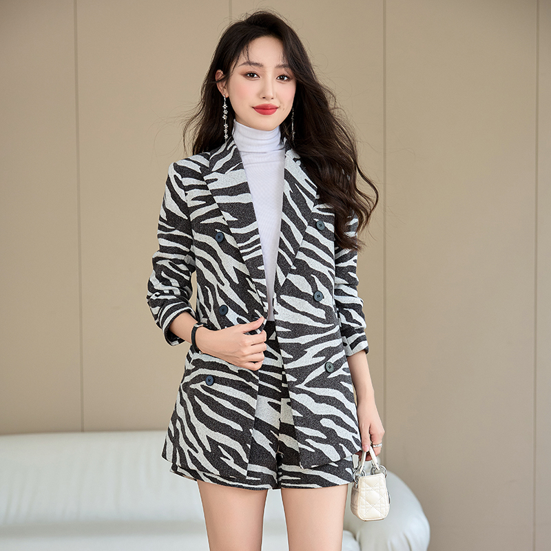 Slim coat all-match business suit 2pcs set for women