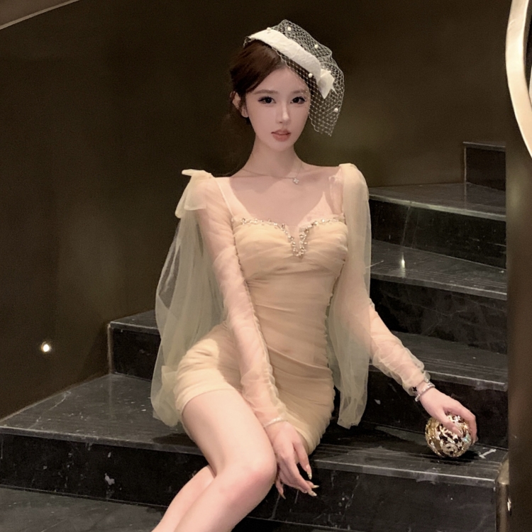 Ladies slim package hip short dress