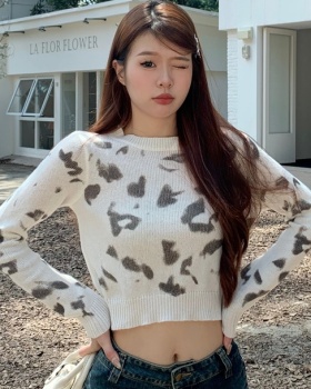 Autumn and winter sweater short tops for women