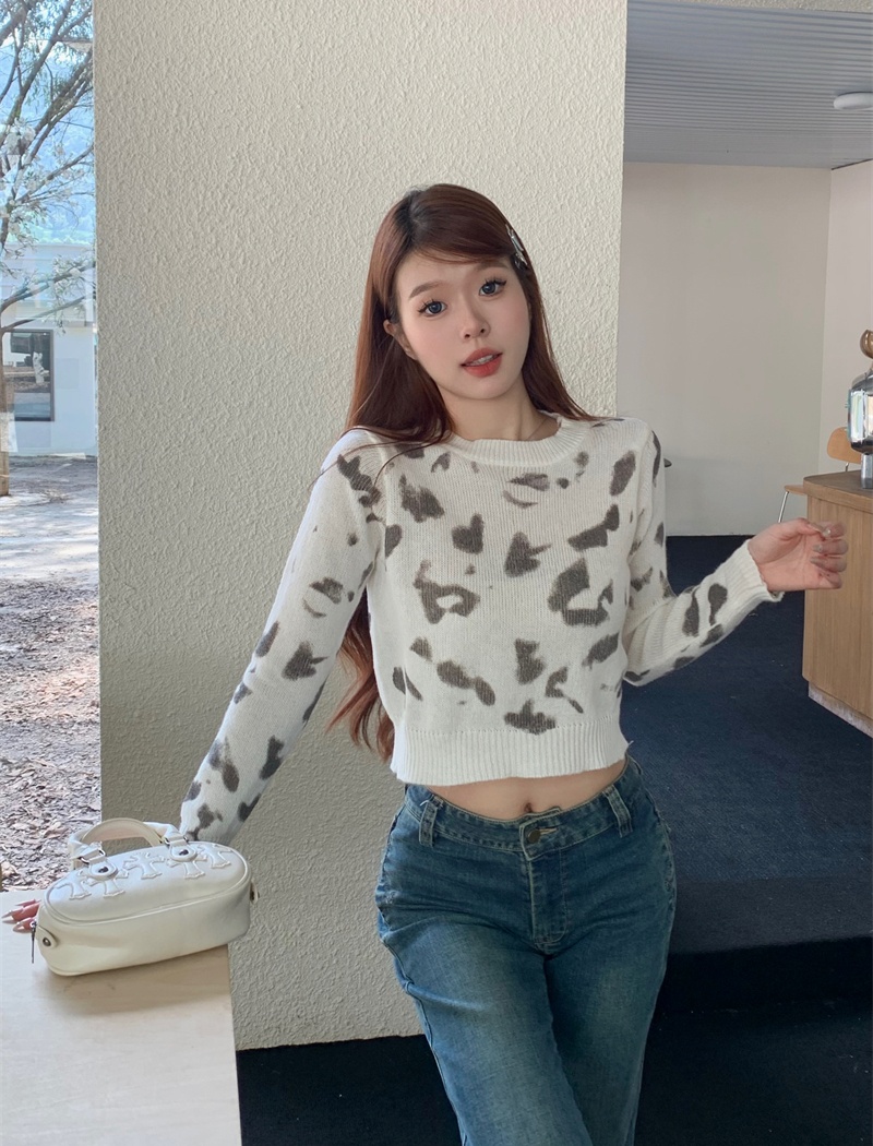 Autumn and winter sweater short tops for women
