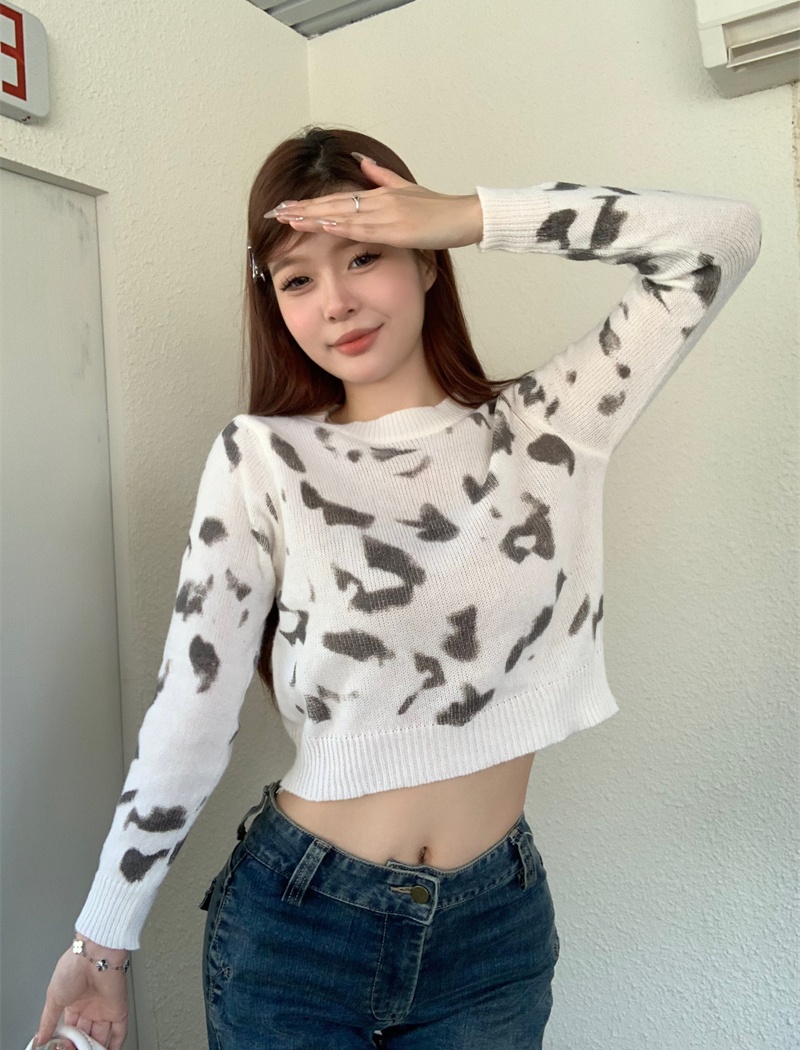 Autumn and winter sweater short tops for women