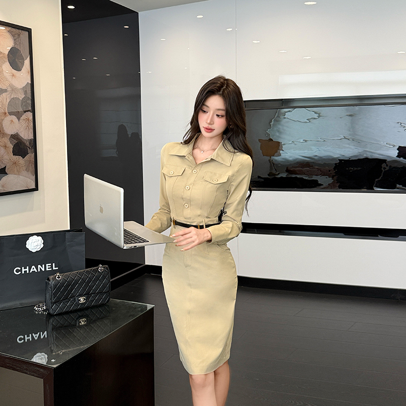 Elegant temperament shirt slim dress