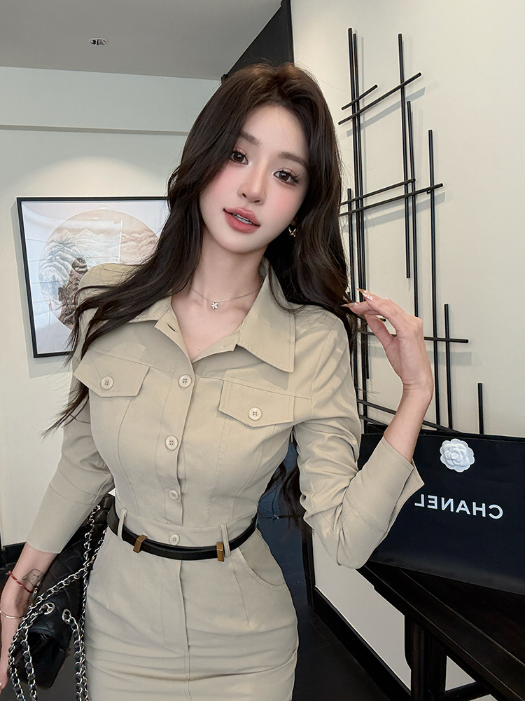 Elegant temperament shirt slim dress