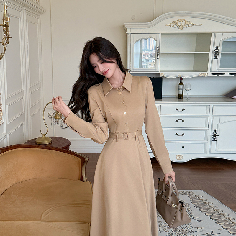 Long sleeve autumn Korean style lapel temperament dress