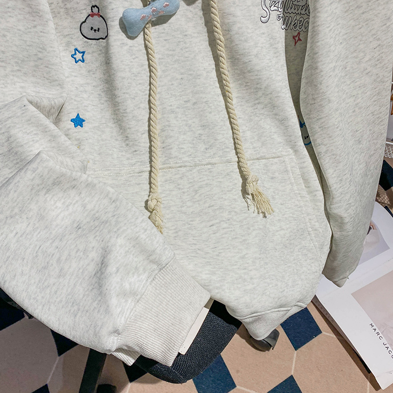Long sleeve embroidery T-shirt loose hoodie for women