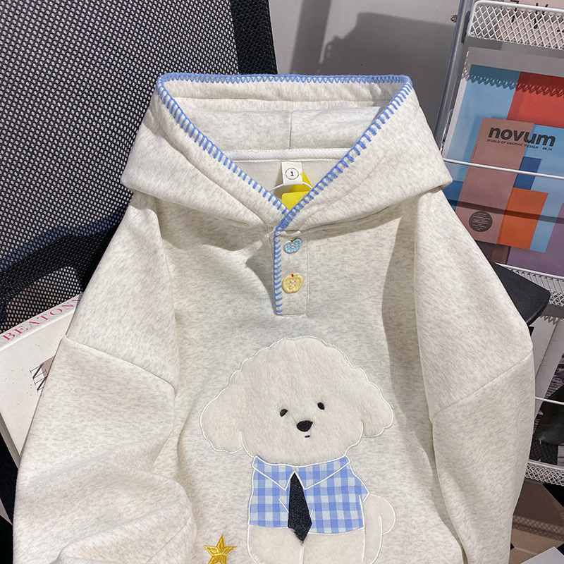 Autumn embroidered flowers tops hooded Korean style hoodie