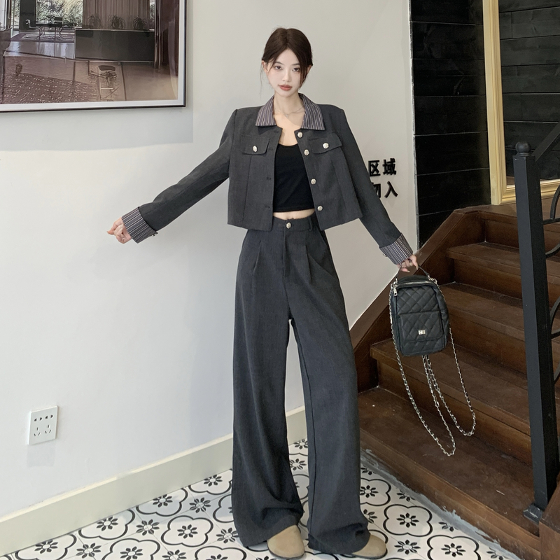 Temperament Korean style profession wide leg pants 2pcs set