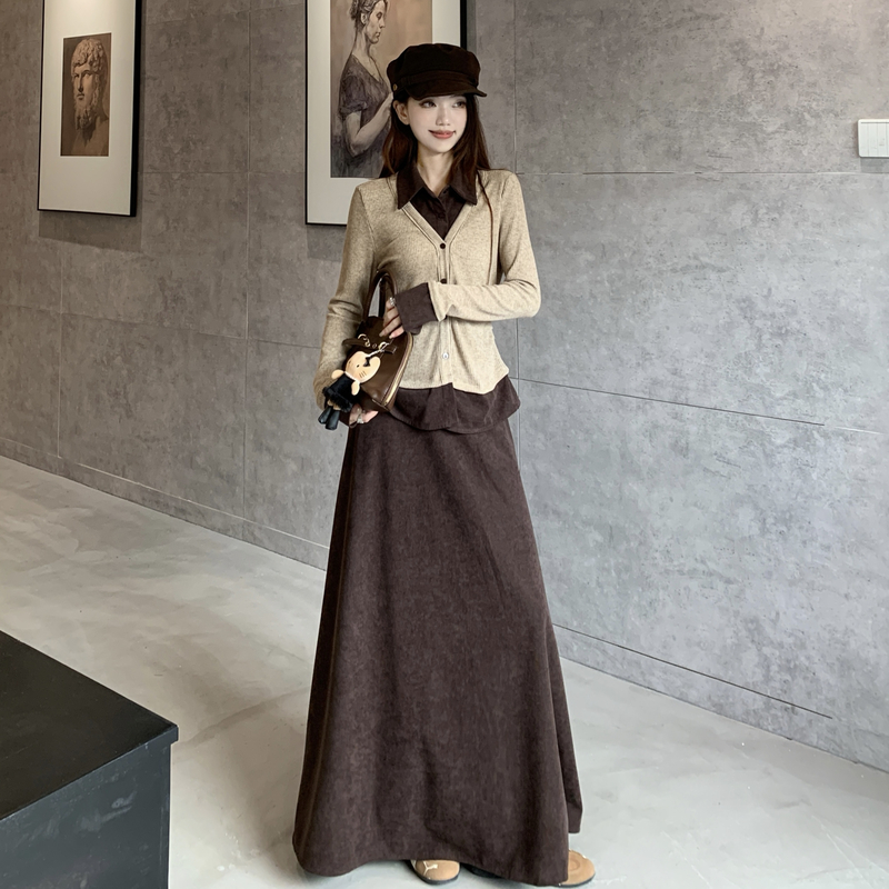 Long sleeve Pseudo-two skirt autumn T-shirt 2pcs set