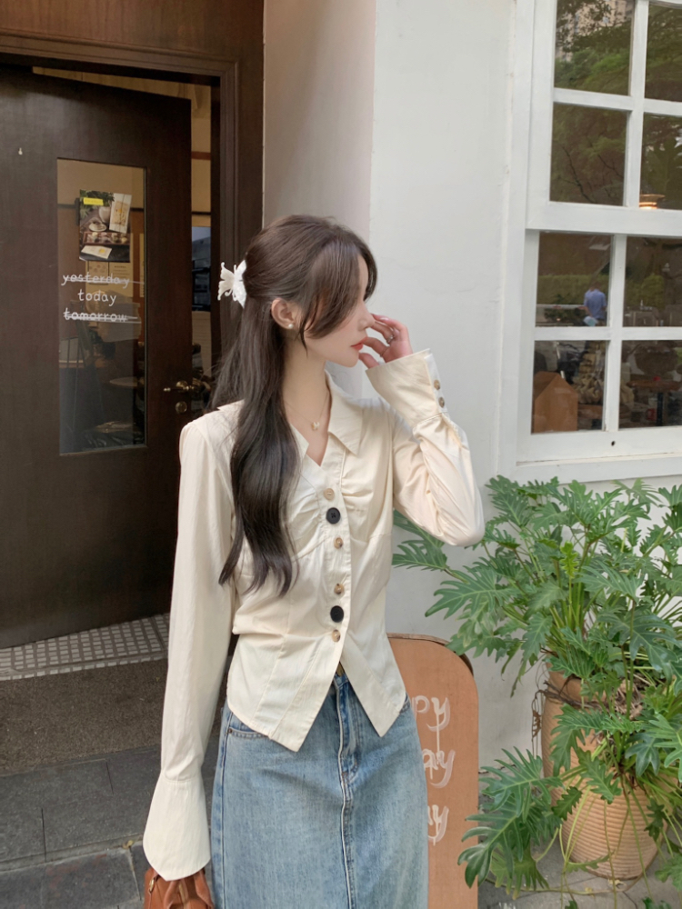 Short lapel tops unique France style shirt for women