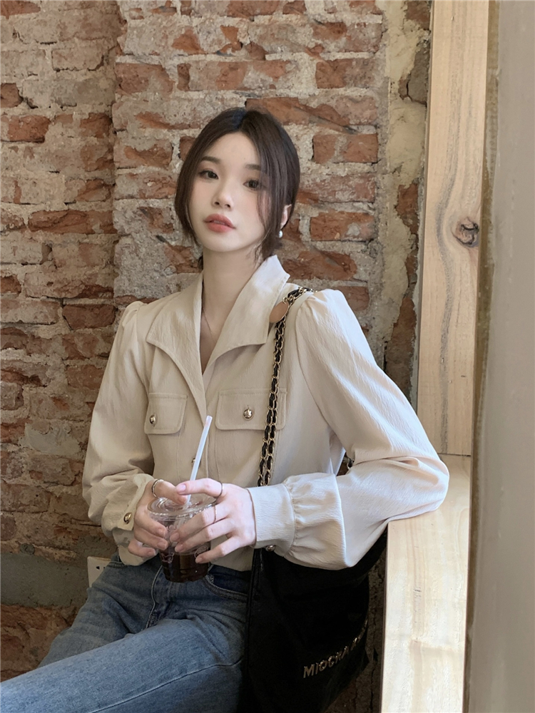Unique retro lapel shirt long sleeve autumn all-match tops