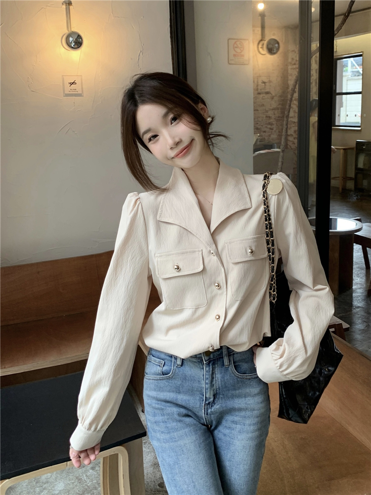 Unique retro lapel shirt long sleeve autumn all-match tops