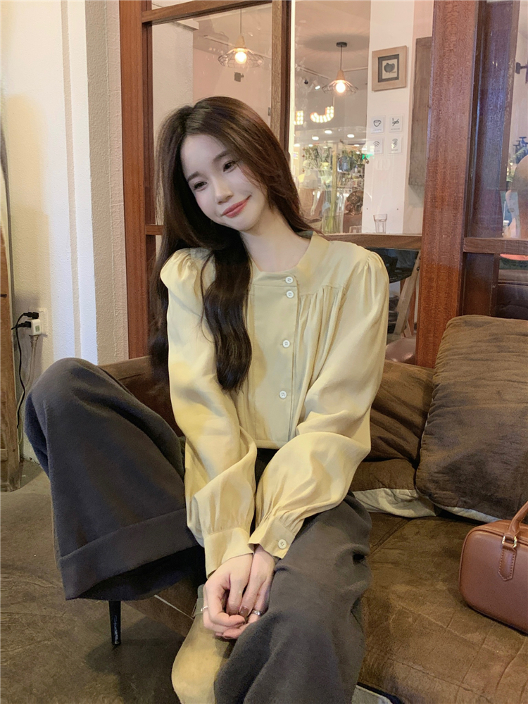 Korean style loose refreshing art commuting shirt