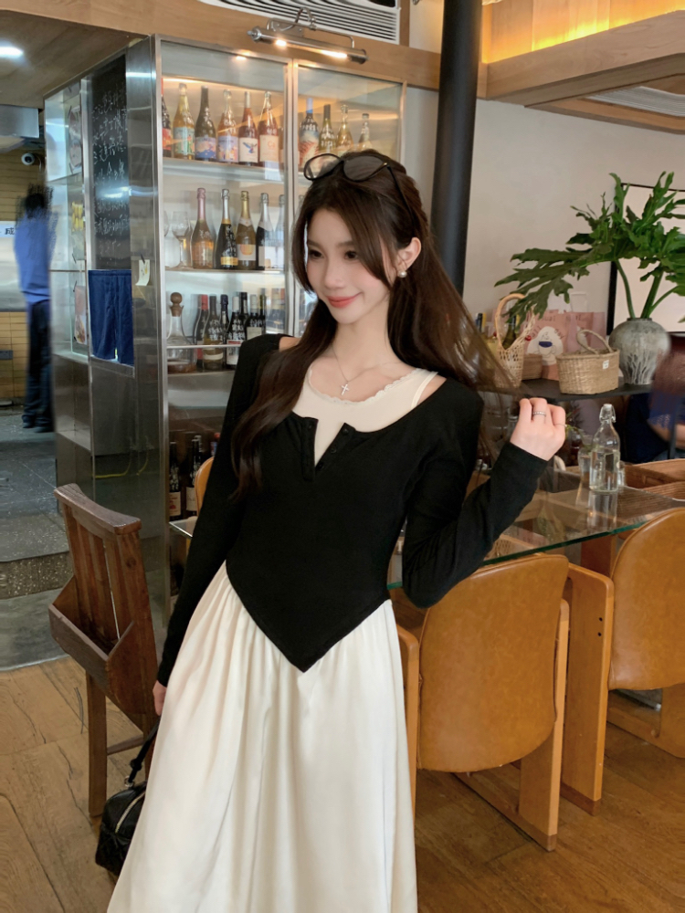Pseudo-two tender long dress long sleeve dress for women