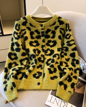 Autumn and winter niche coat loose short tops for women