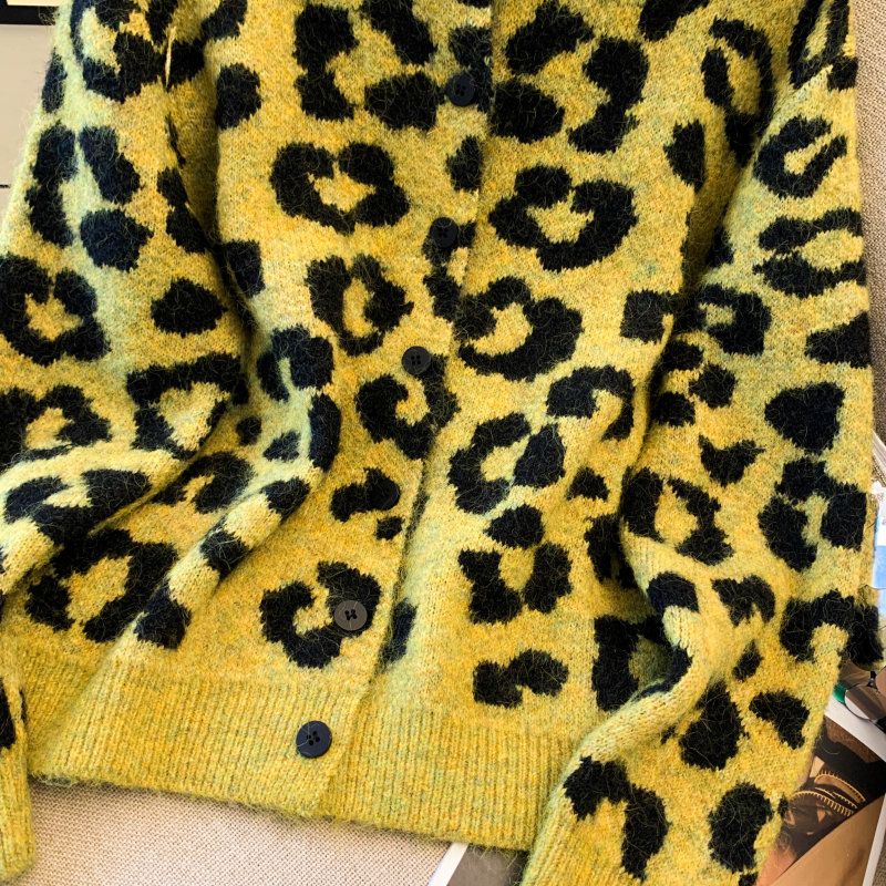 Autumn and winter niche coat loose short tops for women