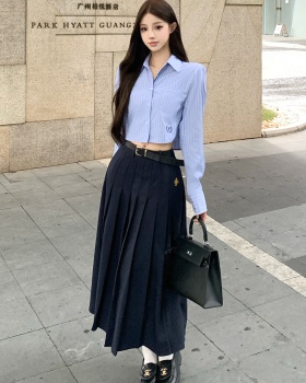 Temperament pleated shirt stripe long skirt 2pcs set