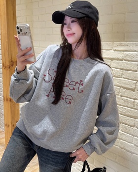 Embroidered flowers autumn and winter Korean style tops