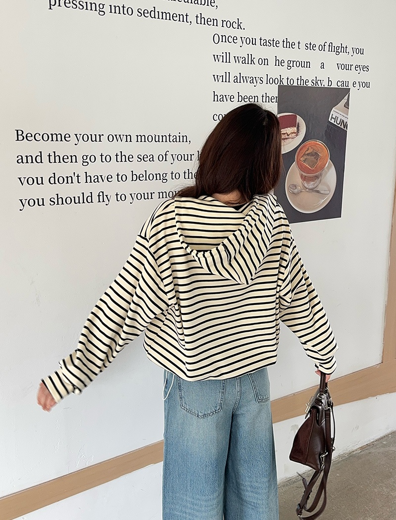 Thin Pseudo-two hoodie hooded autumn tops for women