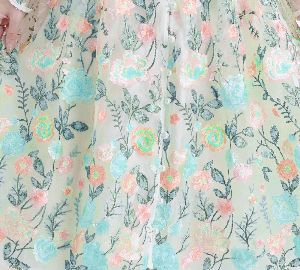 V-neck pinched waist lantern sleeve embroidered dress