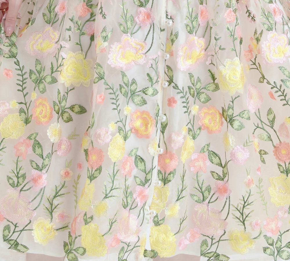 Pinched waist embroidered lace lantern sleeve dress