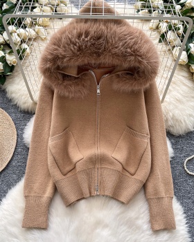 Korean style splice cardigan niche hooded coat for women