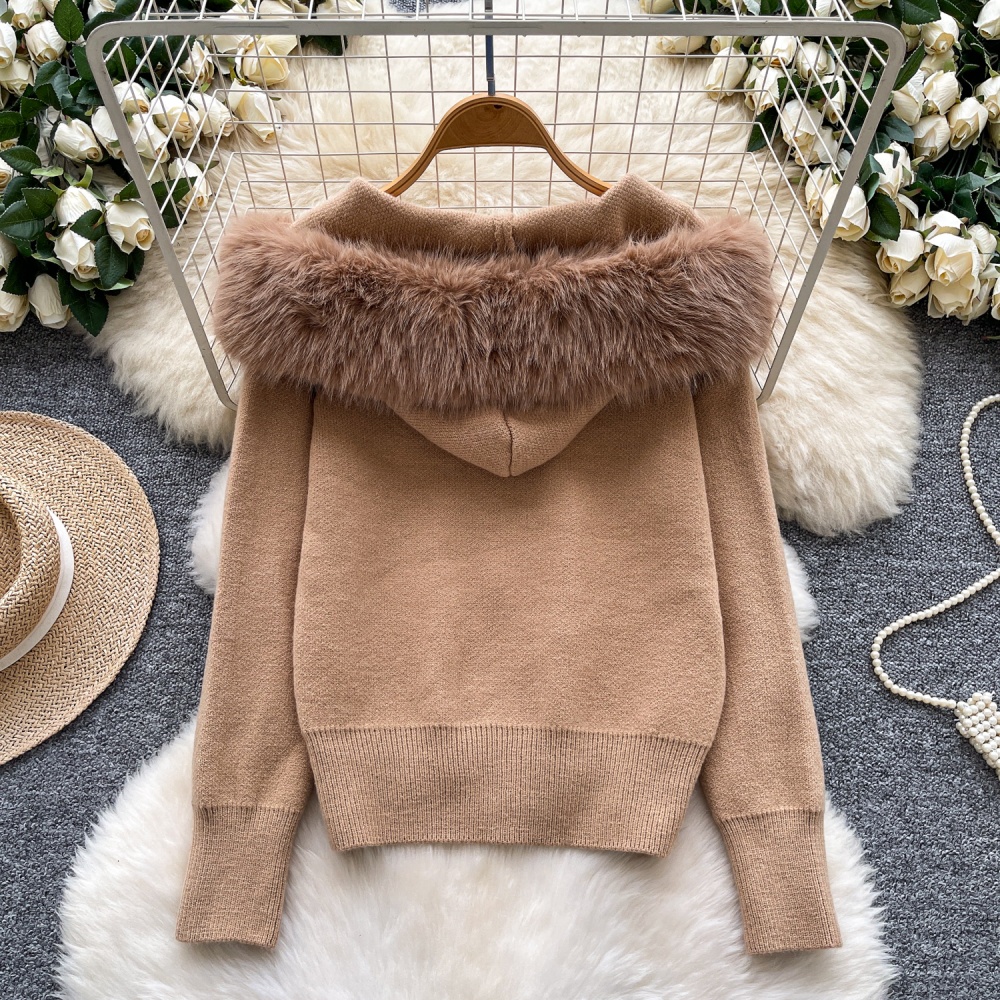Korean style splice cardigan niche hooded coat for women