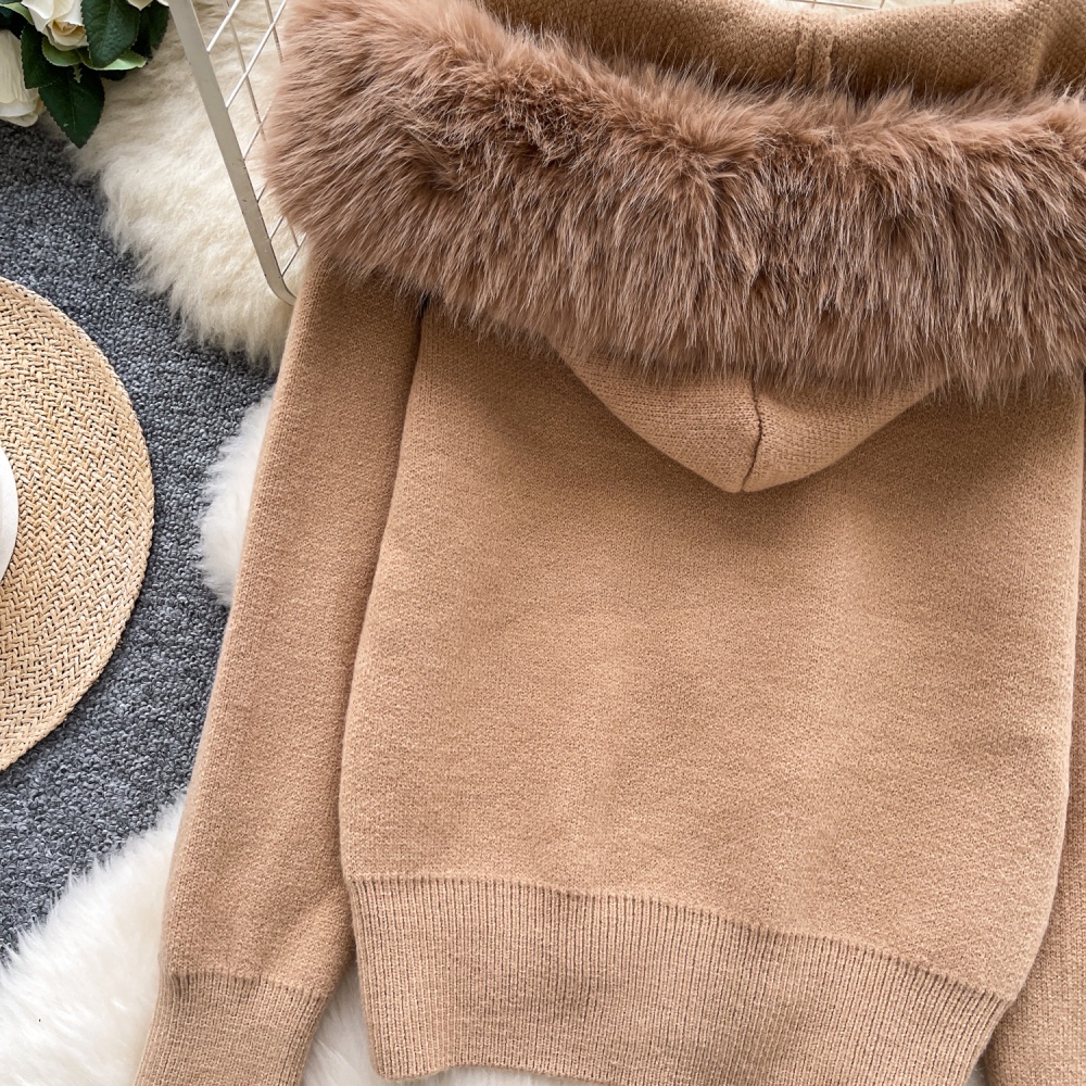 Korean style splice cardigan niche hooded coat for women