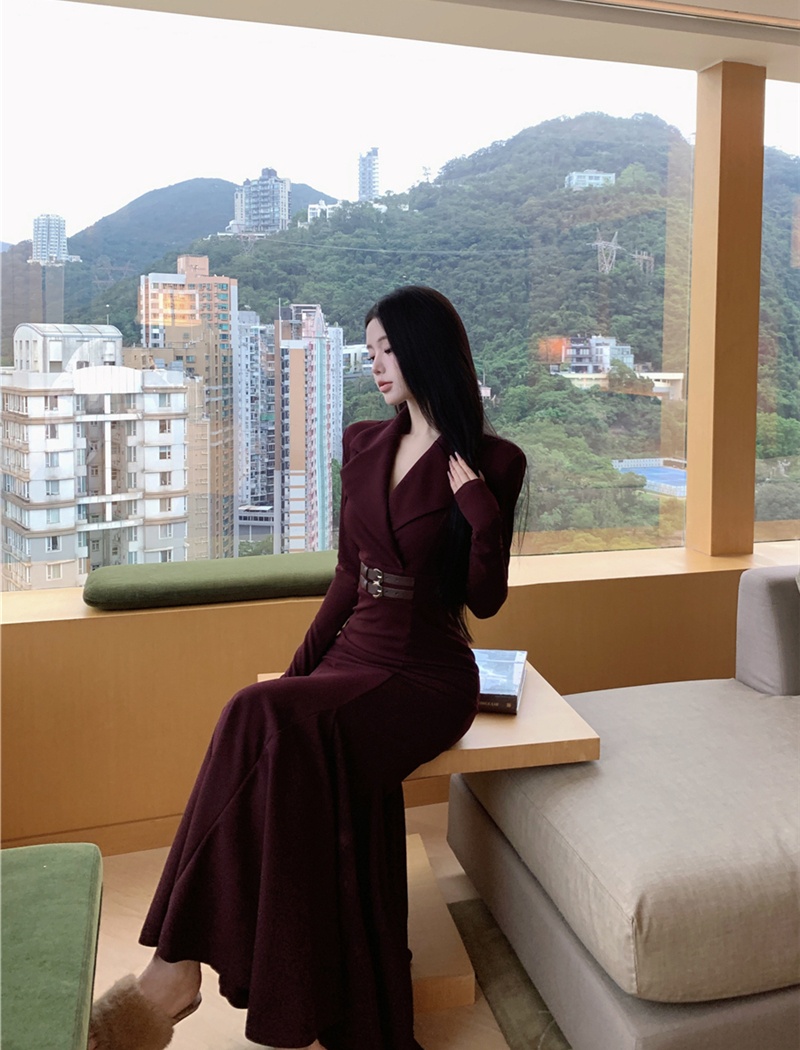 Package hip dress pinched waist long dress for women