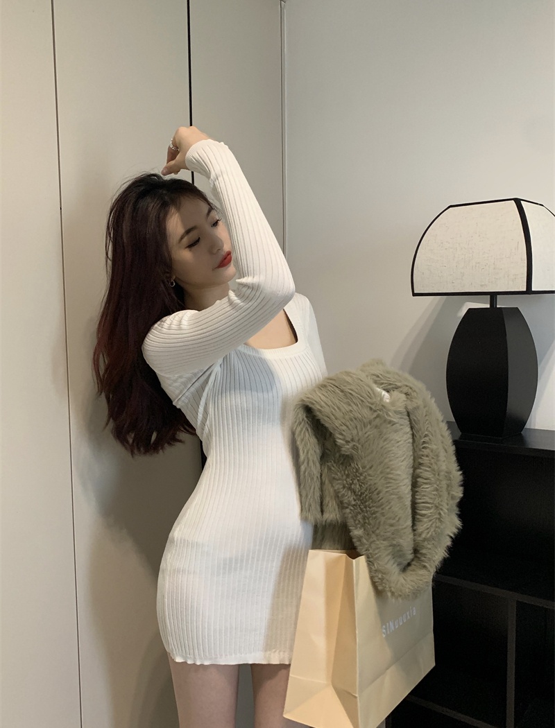 Long sleeve package hip square collar dress