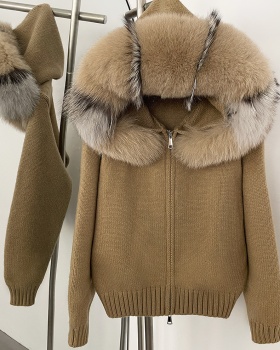 Short hooded tops fur collar spring coat