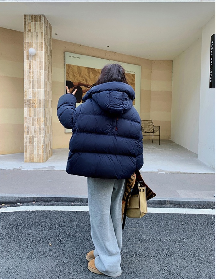 Winter coat bread clothing for women