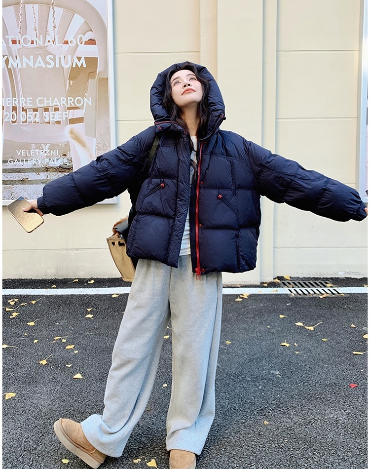 Winter coat bread clothing for women