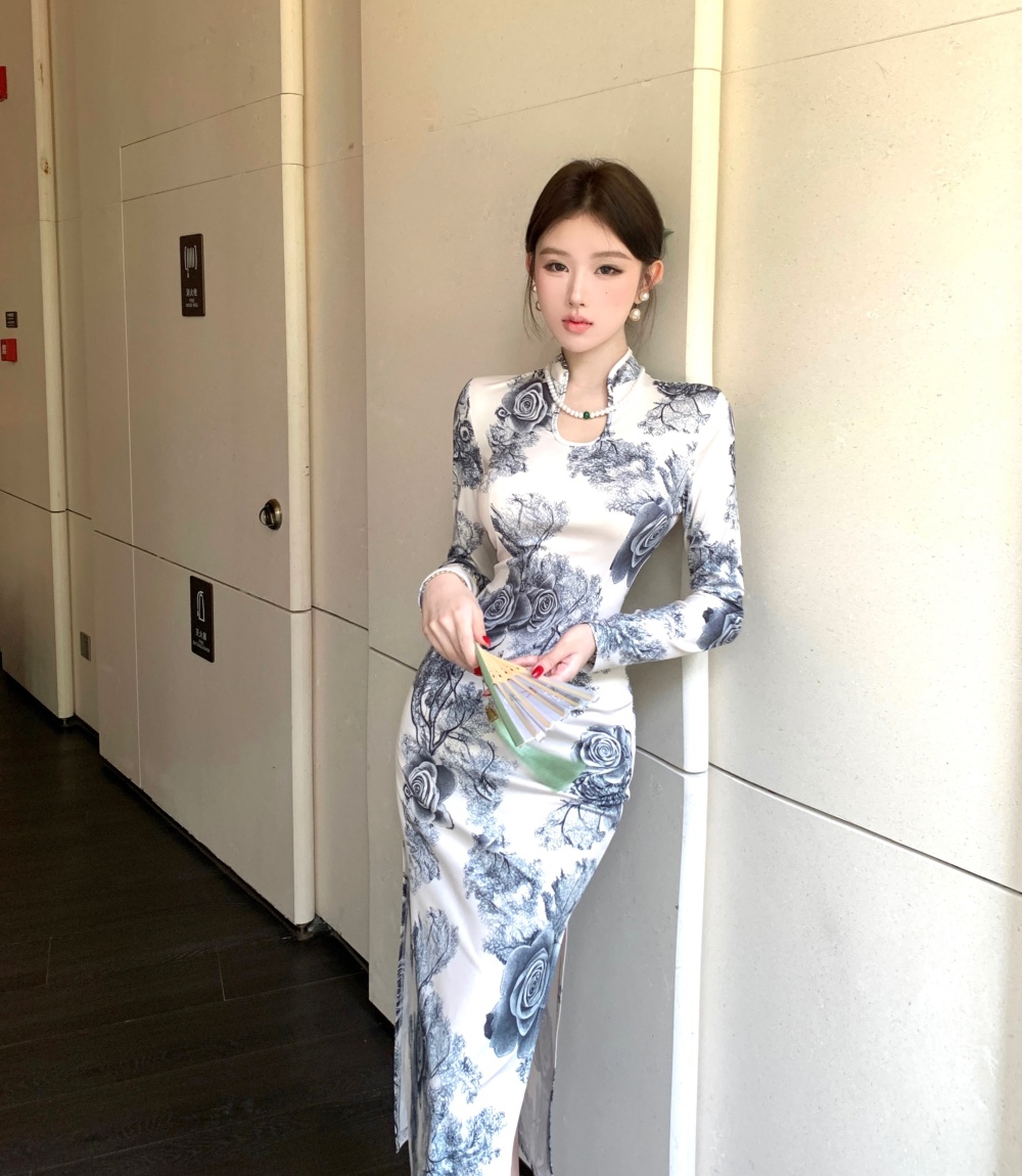 Printing slim autumn dress