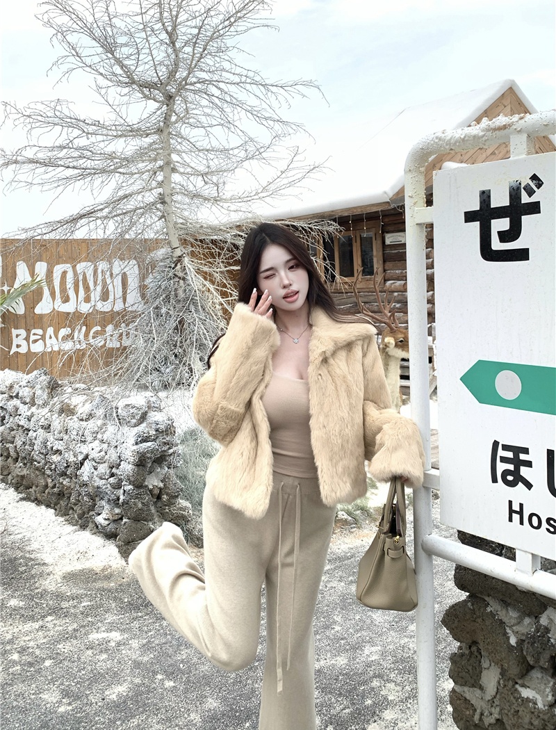 Temperament fur coat jacket for women